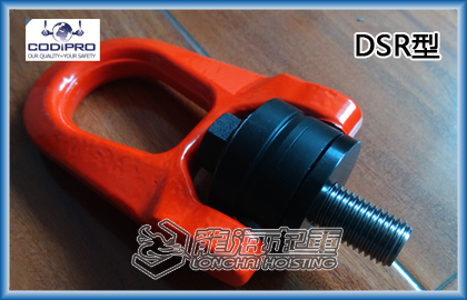 盧森堡DSR旋轉(zhuǎn)吊環(huán)